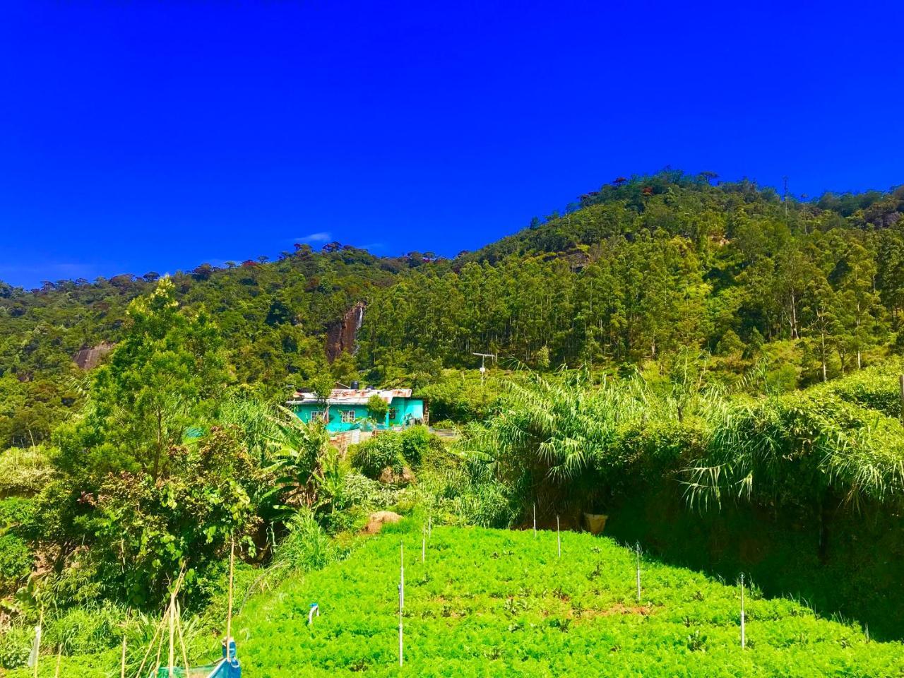 Loversleap Bungalow Nuwara Eliya Exterior foto